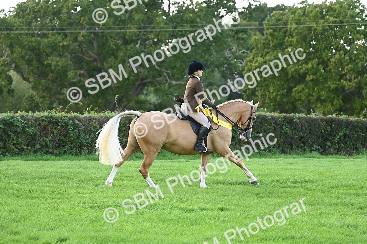 SBM_26513 - S6 - Novice & newcomer Ridden horse