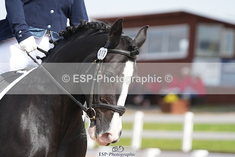 250906-133028-03630 - 018-Kathy.WhiteMilly.111