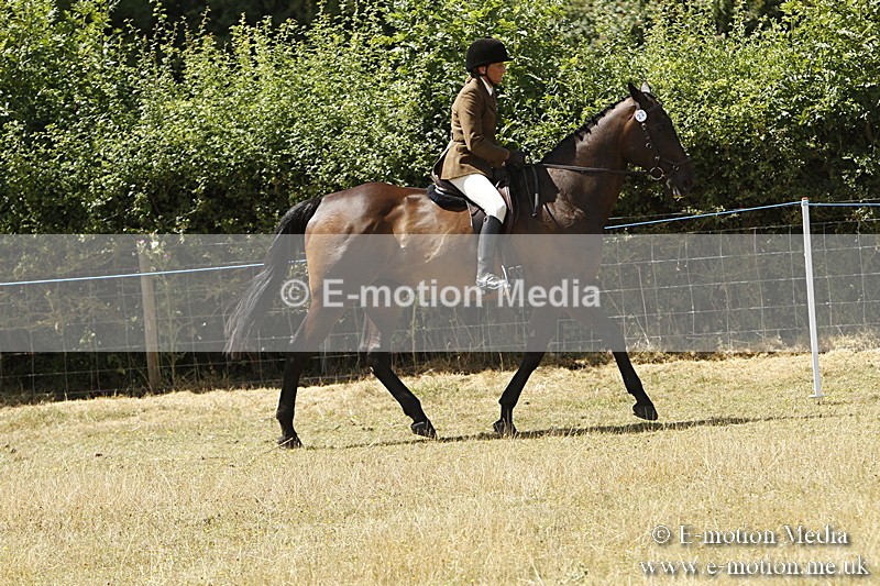 _BS_0735 - BVRC Show 2018 Ring 1