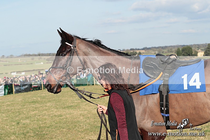 PtP 010325 362 - Beaufort Races Didmarton 01/03/25