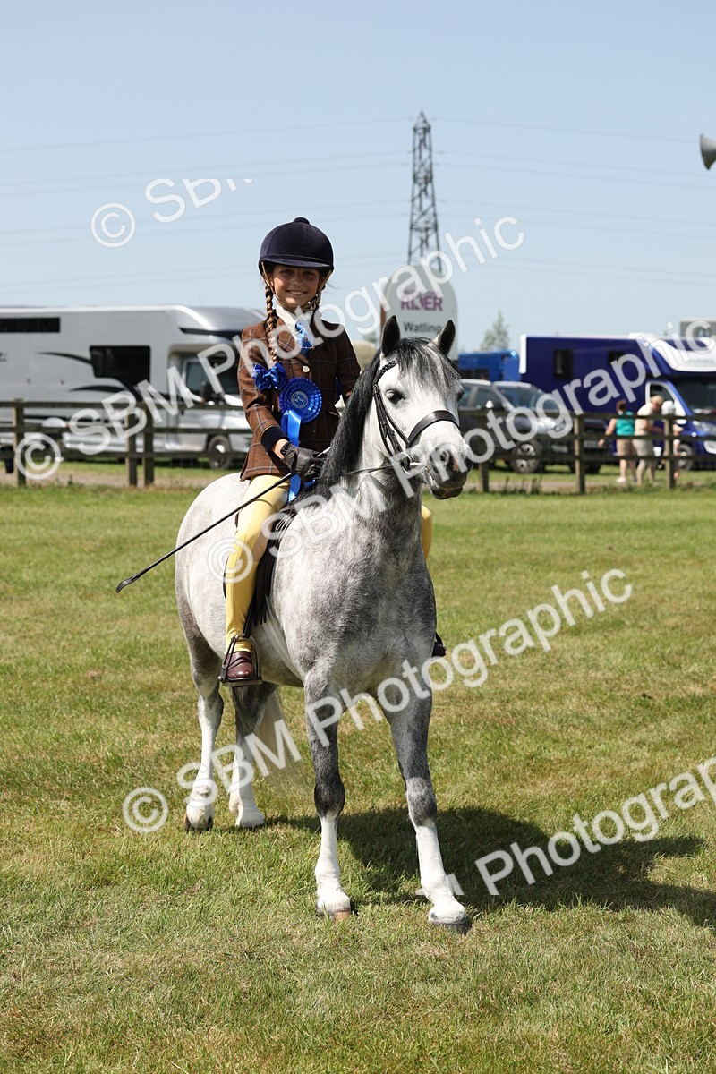 SBM_05364 - Class 24-25 - Mountain & Moorland In Hand Lead Rein and First Ridden