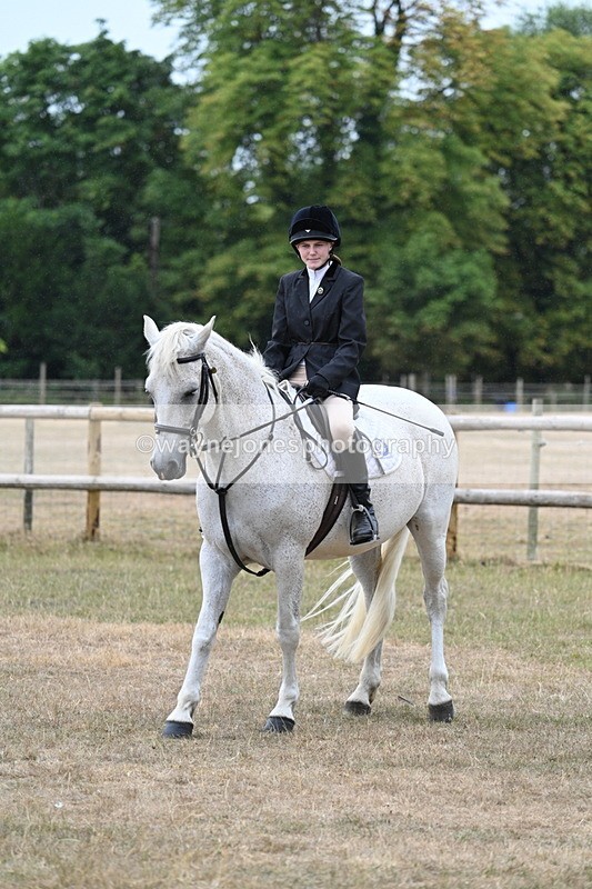 WJ7_0802 - Class 7 Riding Club Show Horse