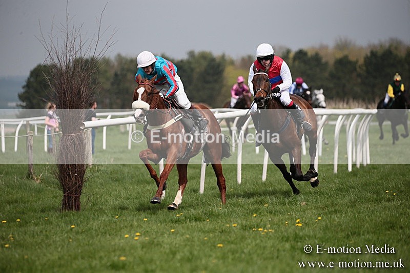 PtP 210418 14 - South & West Wilts Point-to-Point Larkhill 21/04/18