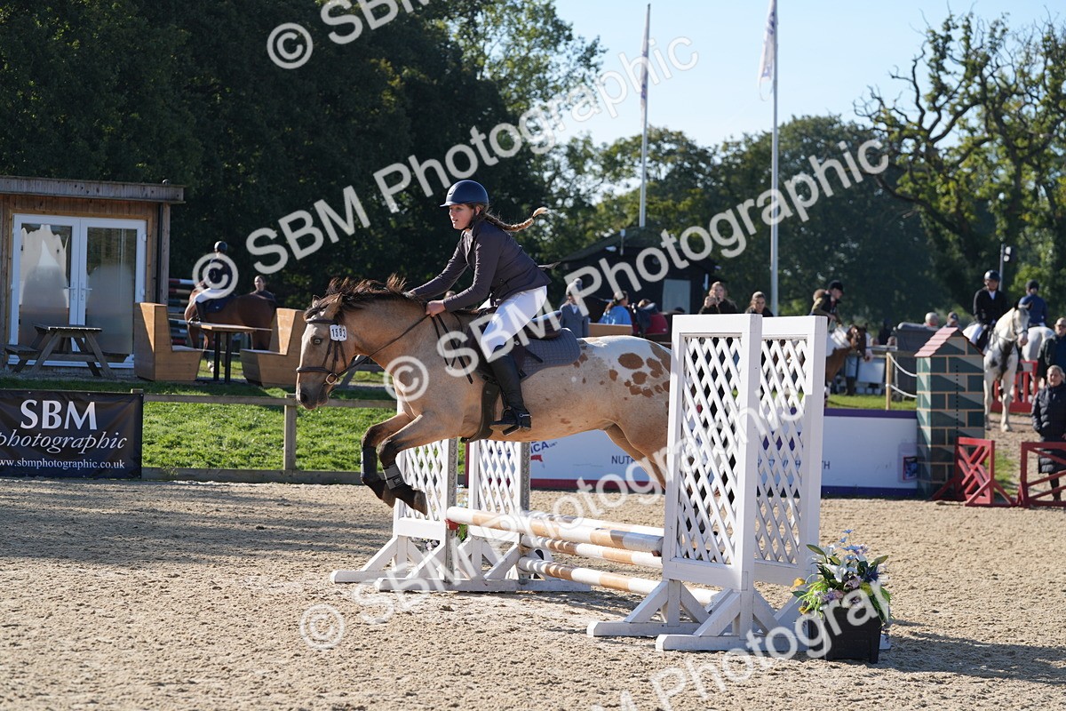 SBM_36107 - J 20 - Junior Horse 50cm Championship