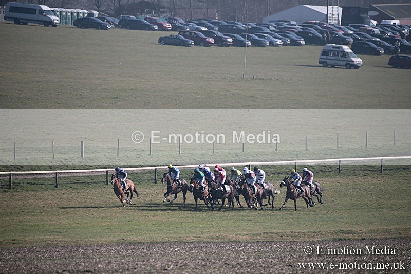 PtP 230219 198 - Vine & Craven Point-To-Point - Barbury 23/02/19