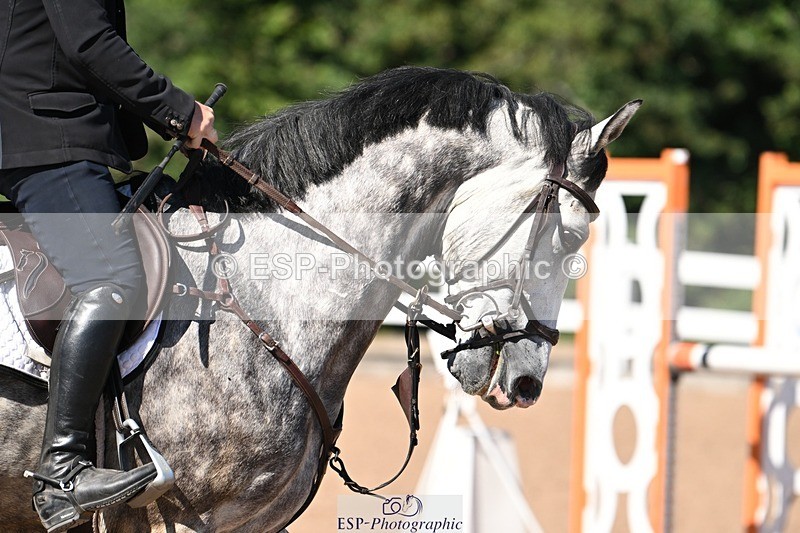 250709-101042-00061 - Clear Round