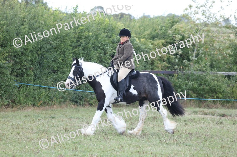 20250831-4283 - Class 20 - Ridden Coloured