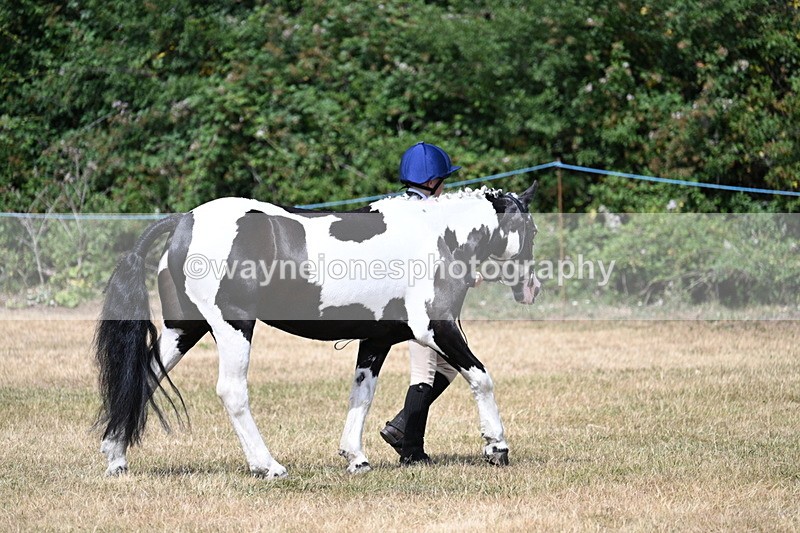 WJ7_1644 - Class 4 Prettiest Mare up to 14.2hh in hand