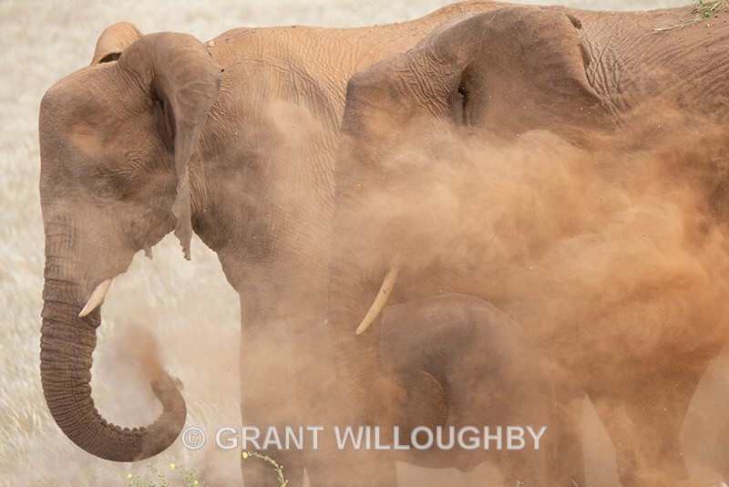 Bath time for baby - Namibia