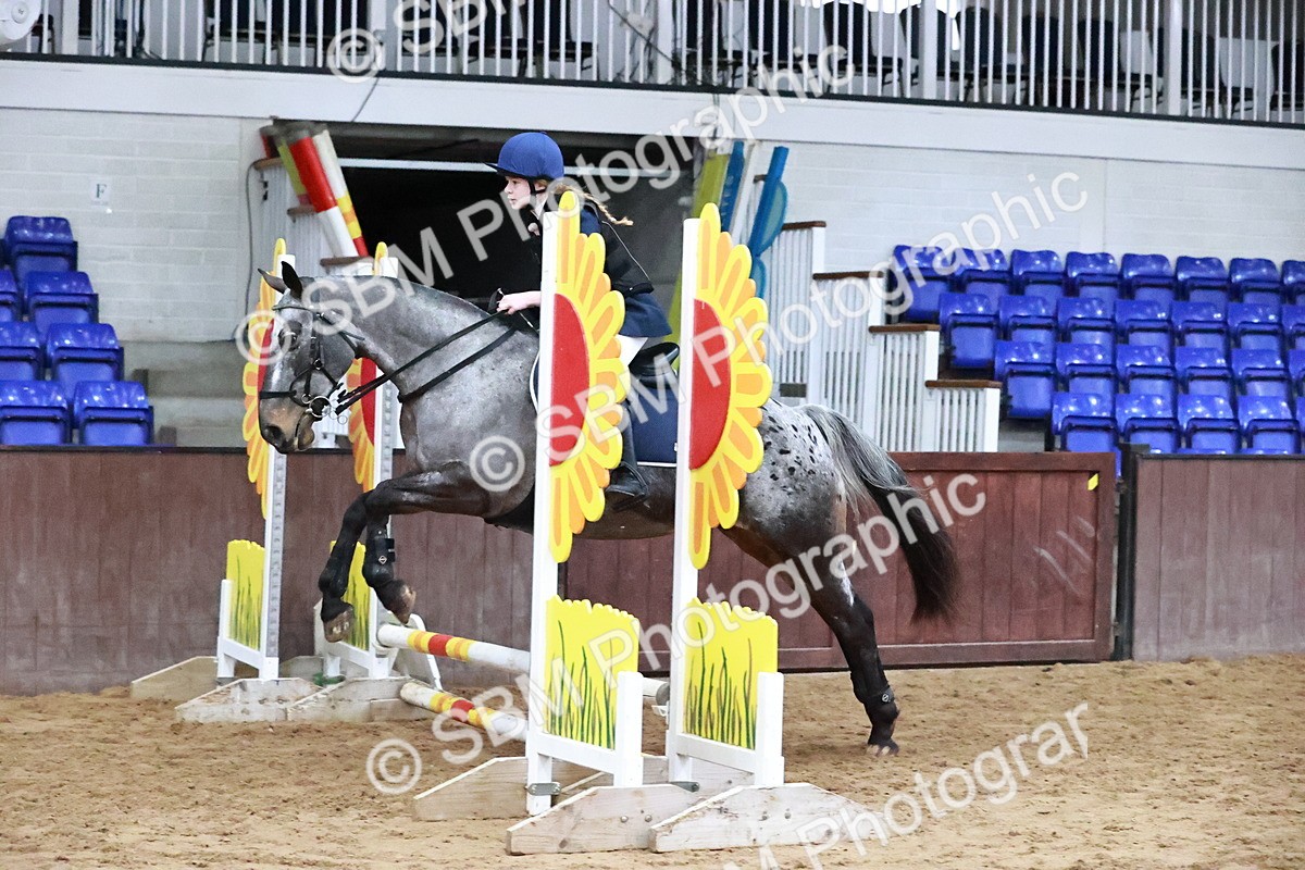 SBM_000550 - Class 2 - Show Jumping 50cm