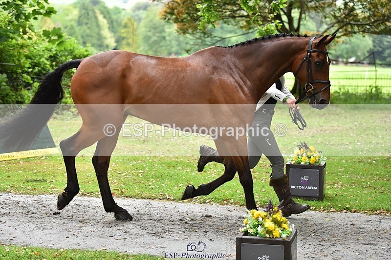 240522-160600-00715 - 153-LEGENDE_P-Ellie_Fredericks