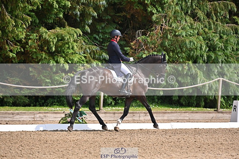 250523A-145641-07392 - B-365-Tom.McEwen-MAESTRO