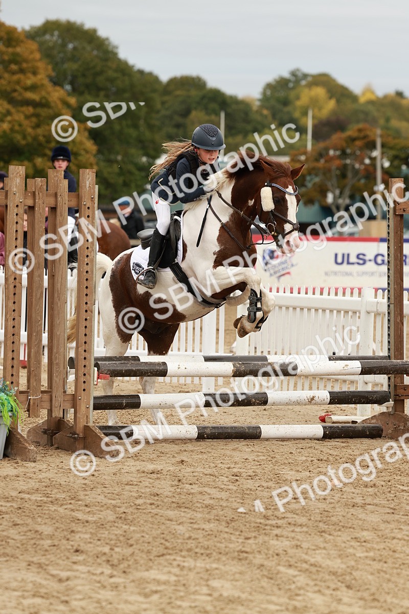 SBM_66872 - J13 - Junior Pony 60cm Championship