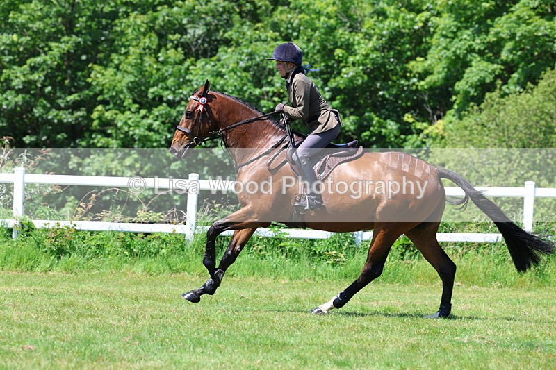 3E7A7472 - Class 31: Working Hunter Cob/Riding Horse