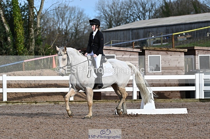 250125-111404-00287 - Dressage - CT Class 5 BE95 (90cm)