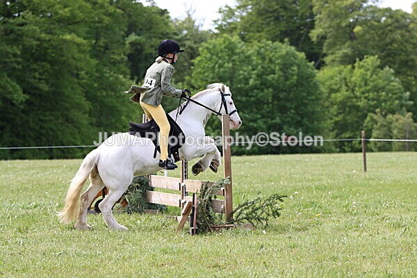 IMG_3039 - Working Hunter