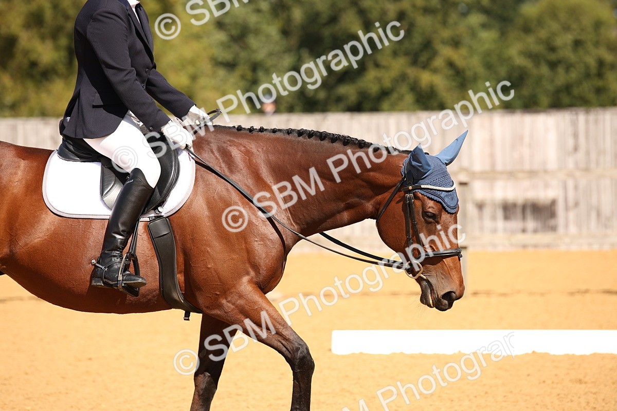 SBM_21696 - D5 - Small Tour Championship - Intro C