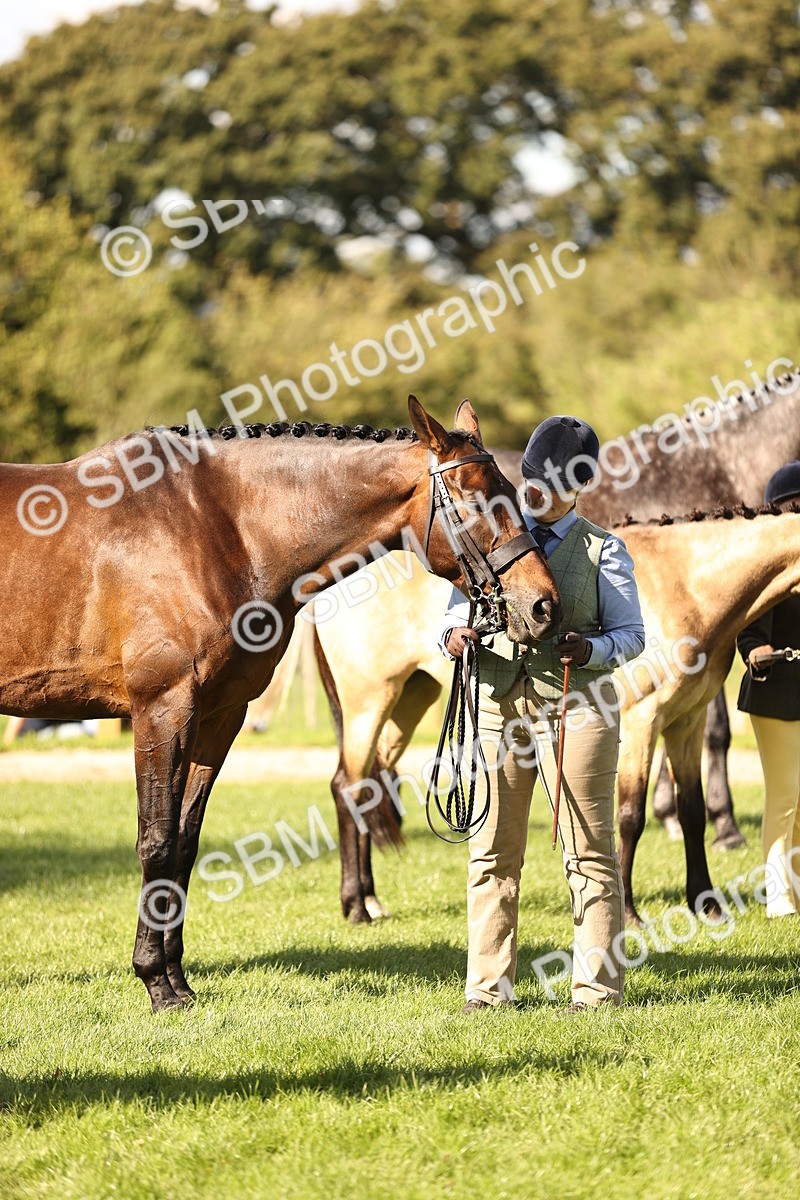 SBM_26198 - S5 - Novice & Newcomers In Hand