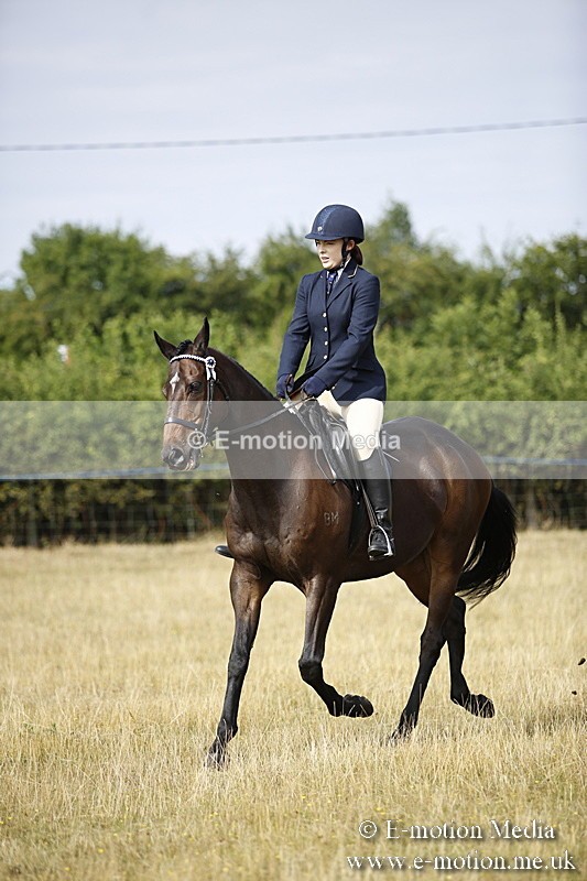 _C7A9292 - BVRC Show 2018 Ring 1