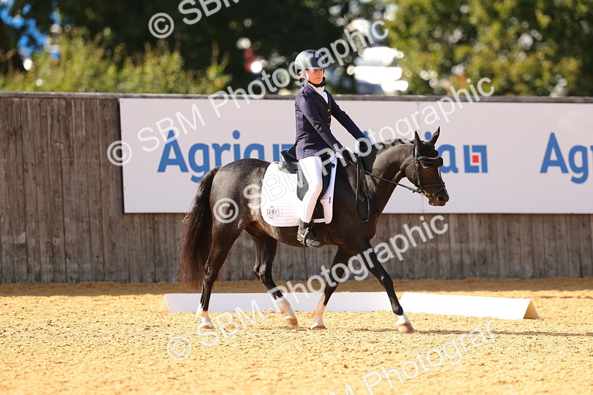 SBM_48448 - D22 - Junior Championship - Intro B