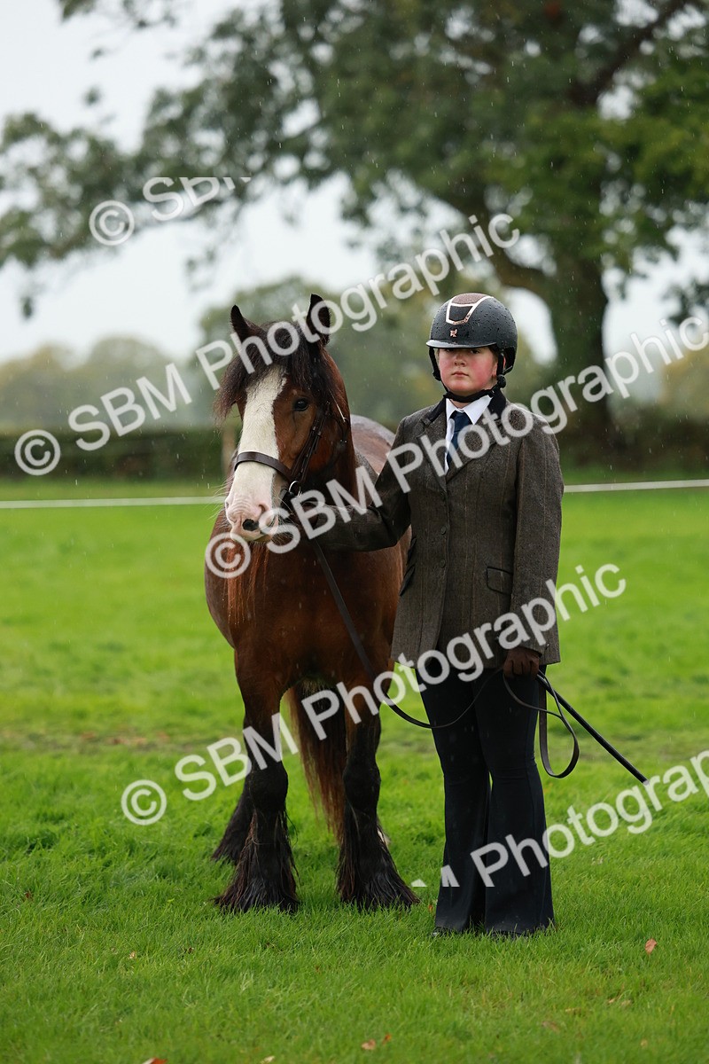 SBM_34890 - S10 - Best In Hand Horse & Pony