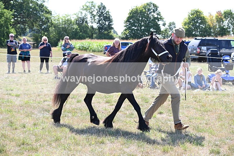 WJ6_4773 - Class 17 Mountain & Moorland