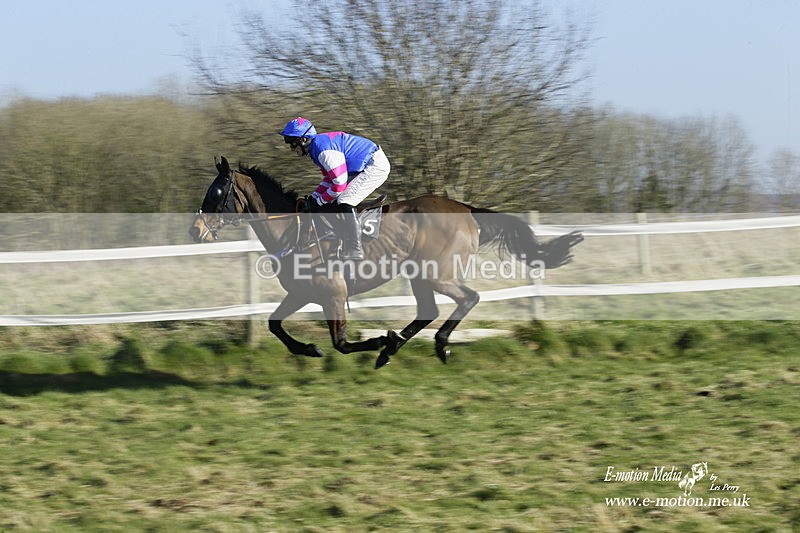 PtP 270222 149 - South & West Wilts Point-to-Point Larkhill 27/02/22
