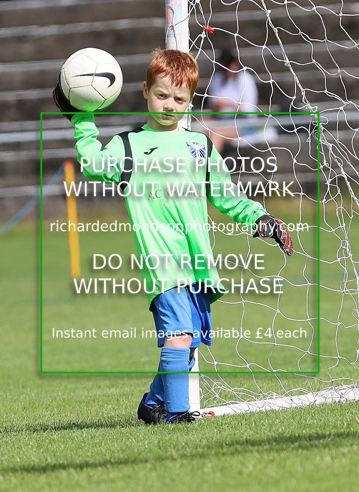 WU84 - Wattsfield U8 (2/7/22)