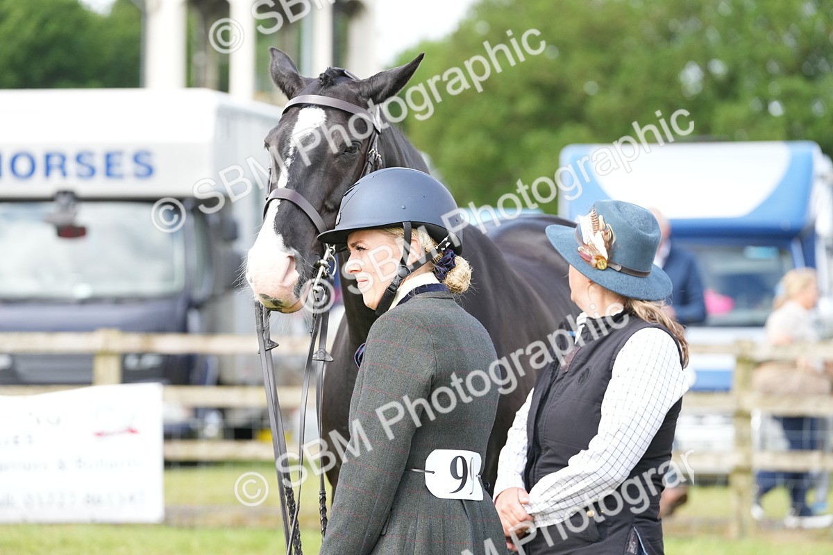SBM_12761 - Class 97-98 - LIHS BSHA Rising Star Working Show Horse Hunter