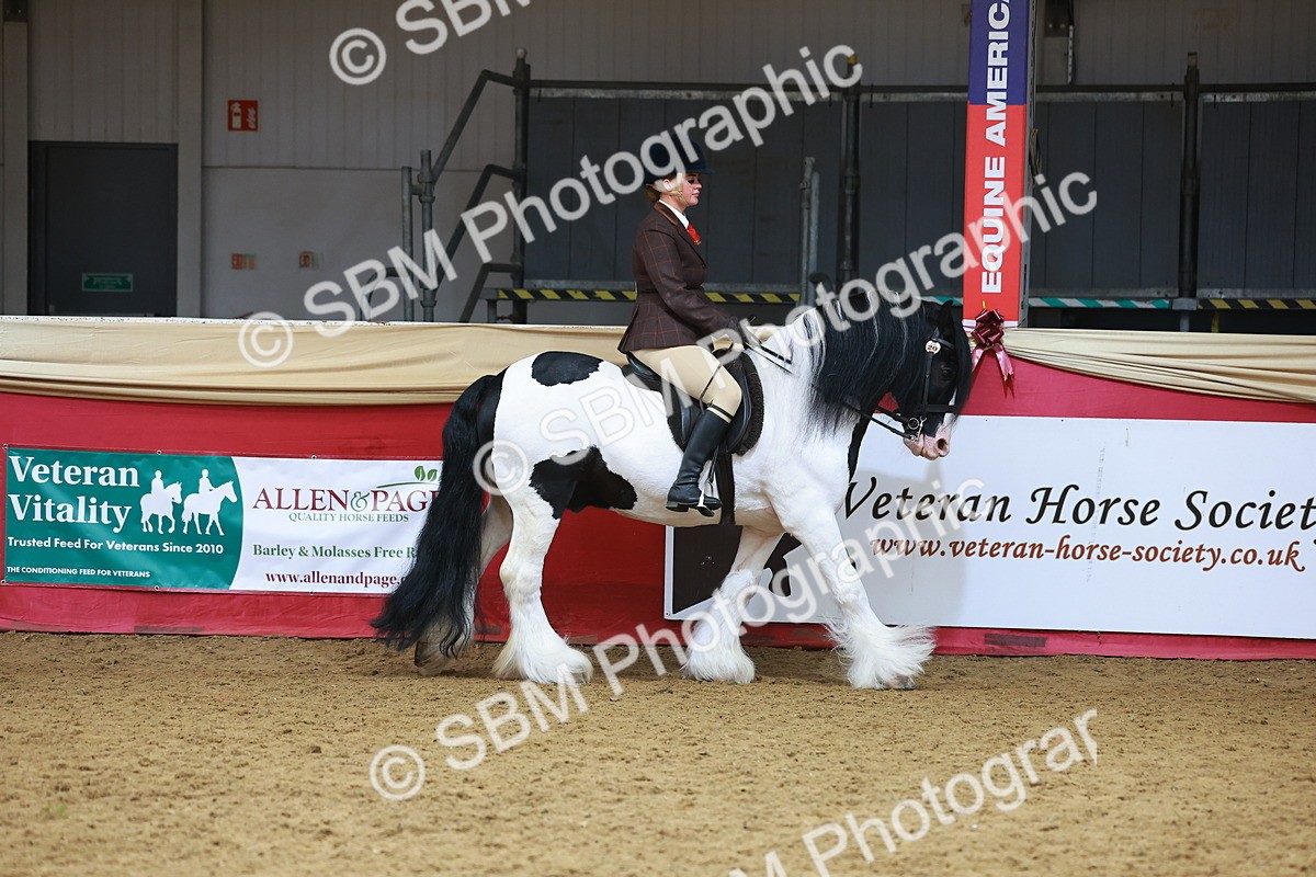 SBM_09586 - Class 102 - HOYS Veteran Qualifier - Ridden Veteran