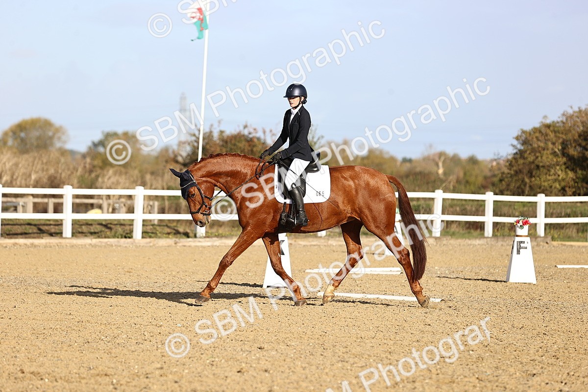SBM_009056 - Class 2 - P5