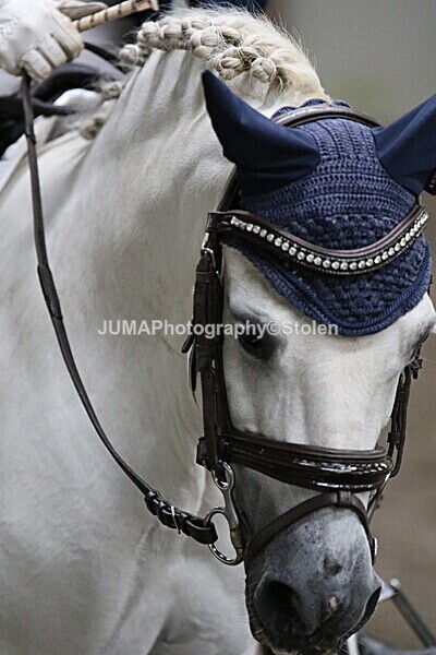 SIAL4580 - CAbin Dressage 5th july 2025