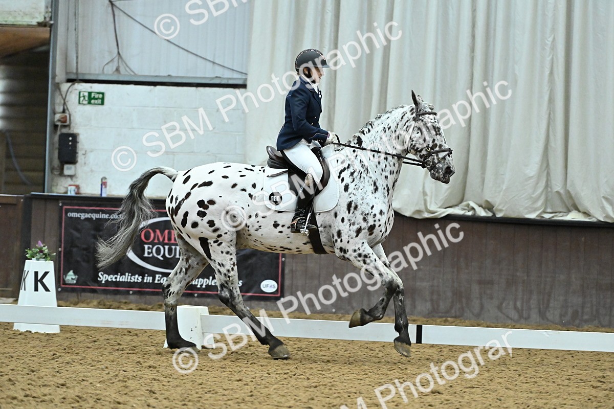 SBM_007500 - Class 81 - Novice 3