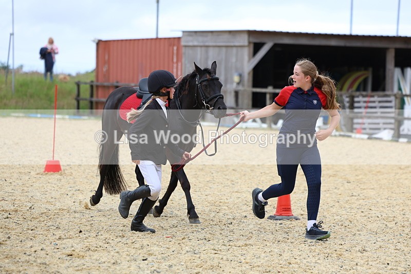 3E7A9365 - Walk trot run