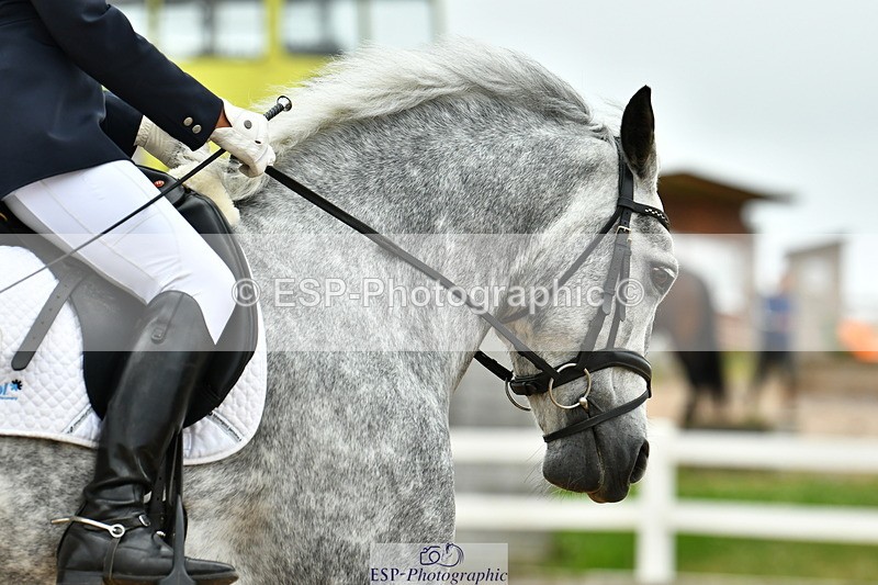 230630A-122648-01565 - Cls 5 Novice 37A