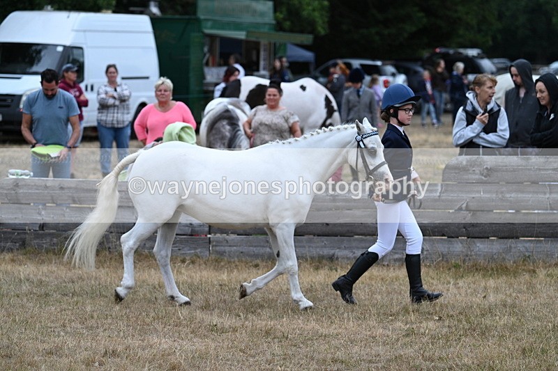 WJ7_8326 - Class 4 Prettiest Mare up to 14.2hh