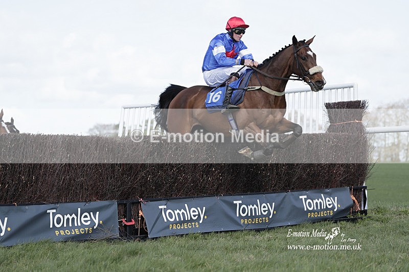 PtP 100423 765 - Old Berkshire Point-to-Point Lockinge 10/04/23