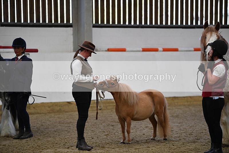 WJ5_5086 - Class 7 In hand coloured / odd coloured