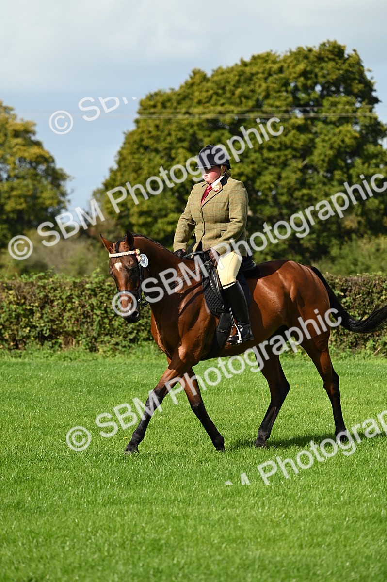 SBM_01665 - S2 - TSR Ridden Horse Showing