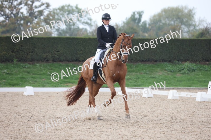 20251012-0893 - Class 10 - Advanced Medium 4