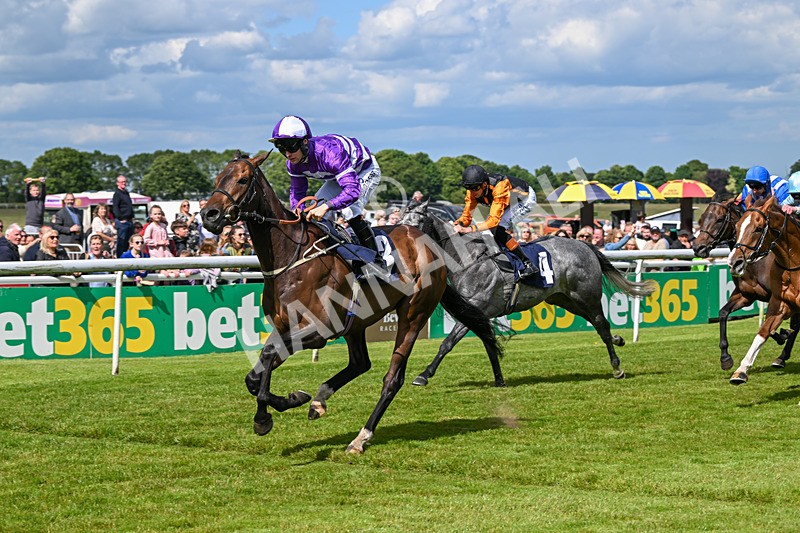 080624-Race 5-Ludos Landing-1470 - Race 5