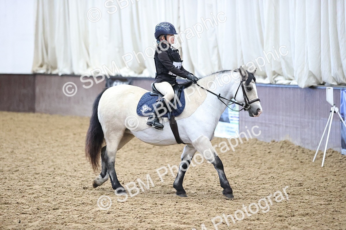 SBM_000258 - Class 2 - The Rug Lady 40cm Area 12 Championship Qualifier