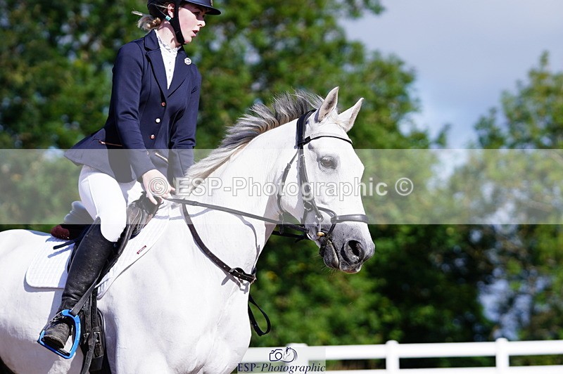 240809A-092010-00217 - Dressage Competition