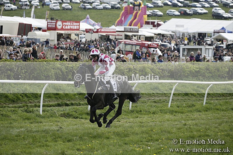 PtP 170417 358 - Old Berks Point-to-Point Lockinge 17/04/17