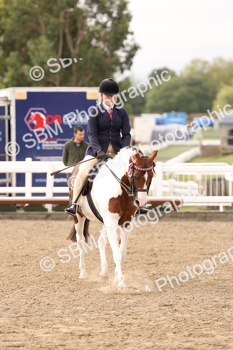 SBM_01514 - Class 52 - Ridden Veteran