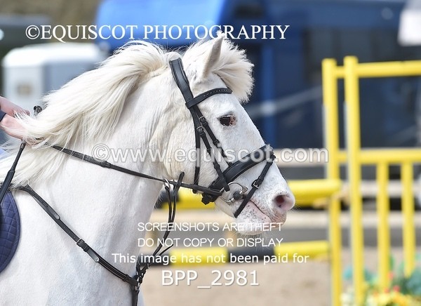 BPP_2981 - CLASS 4 STX-UK Pony BritiNovice / 0.80m Open