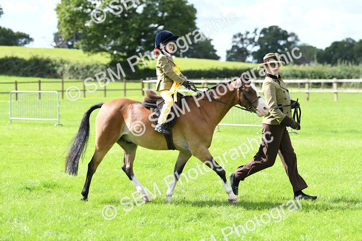 SBM_41287 - S19 - Lead Rein Show & Show Hunter Pony