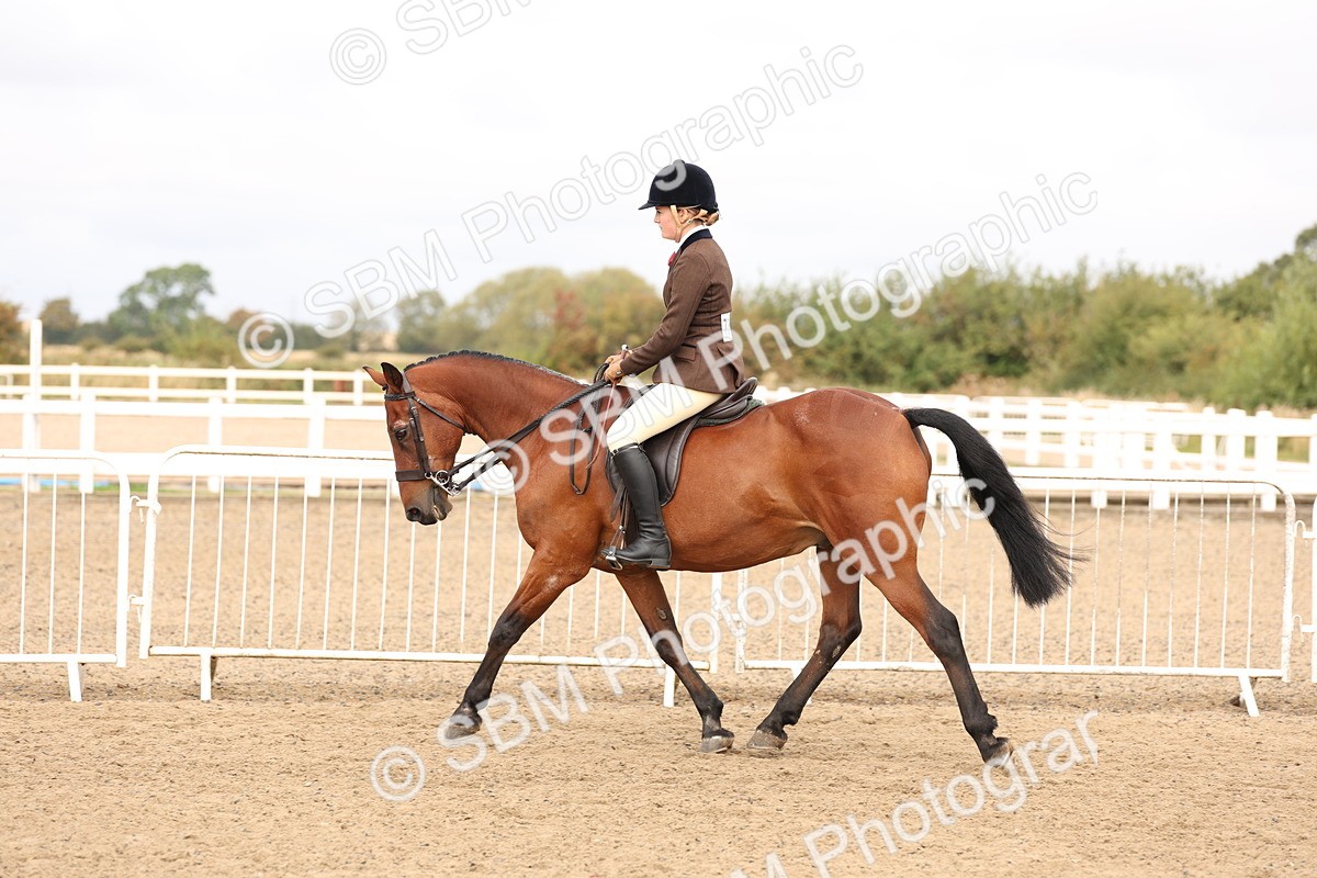 SBM_01543 - Class 52 - Ridden Veteran