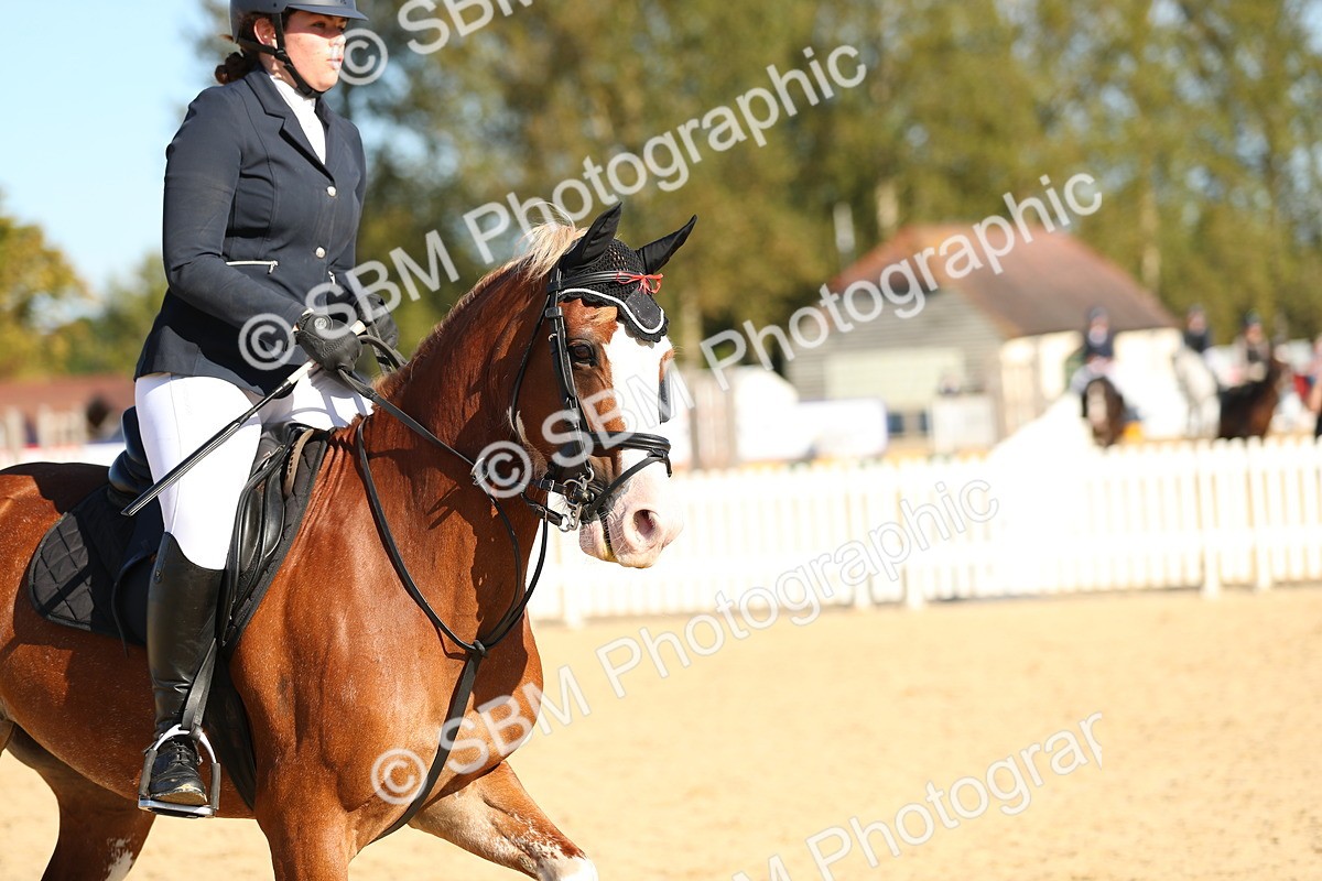 SBM_16716 - J33 - Senior 75cm Championship