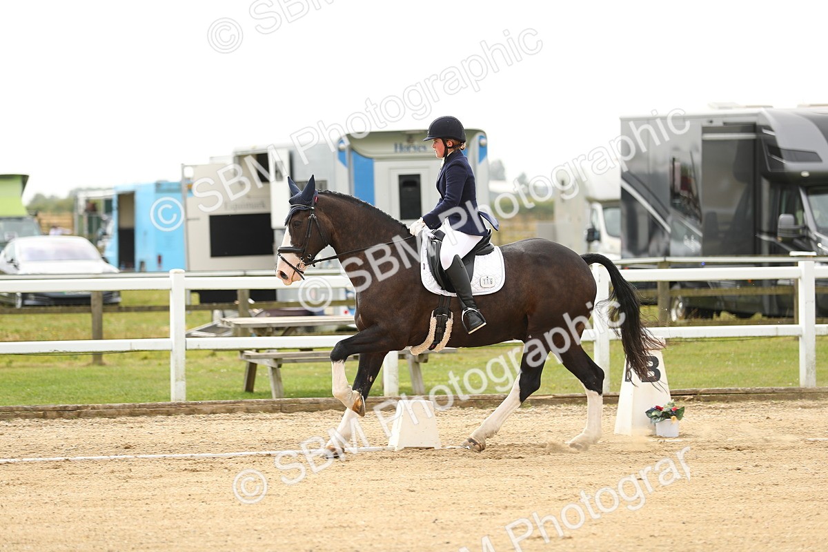 SBM_017250 - Class 13 - Novice 23 - 13.31-14.13